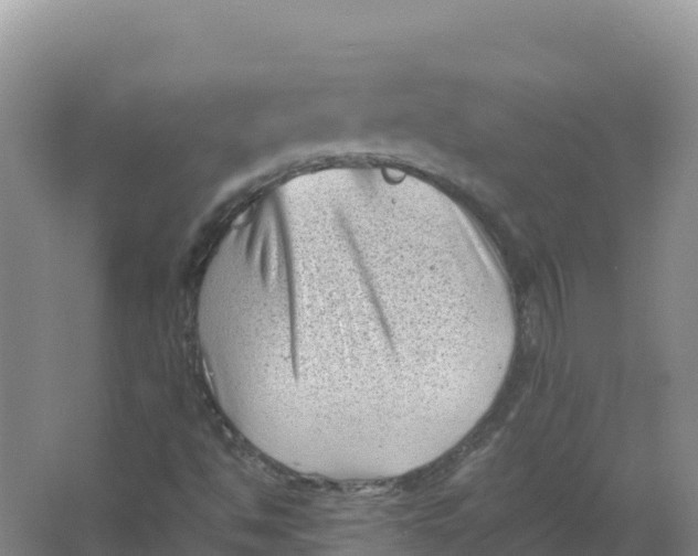 X0000066961494200604142101