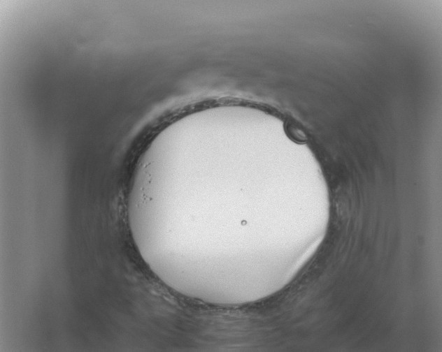 X0000066961495200604142101