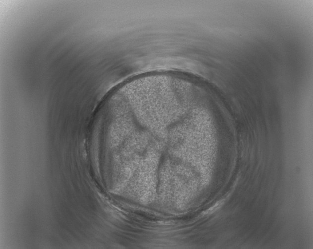 X0000066961497200604142101