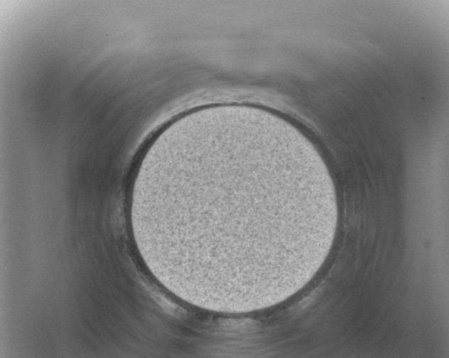 X0000066961498200604142101