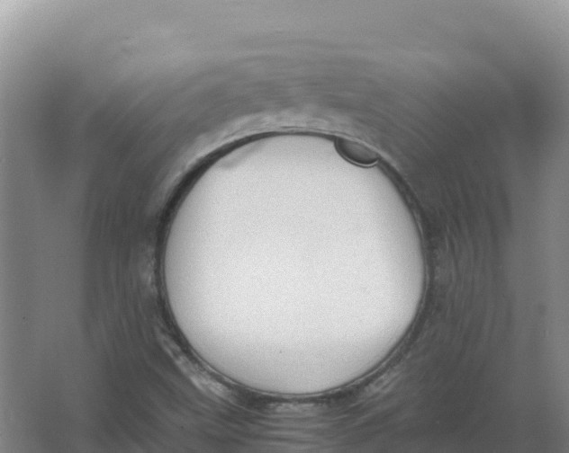 X0000066961499200604142101