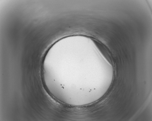 X0000066961500200604142101