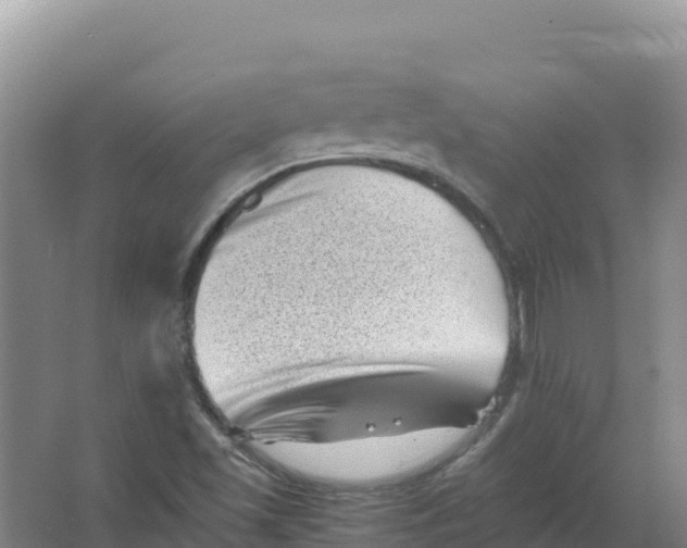 X0000066961501200604142101