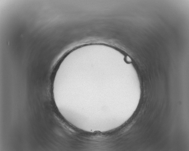 X0000066961502200604142101