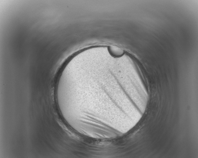 X0000066961503200604142101