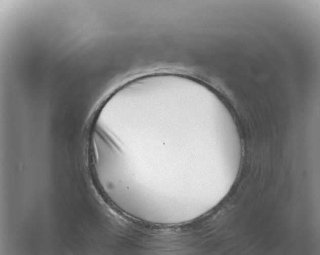 X0000066961504200604142101