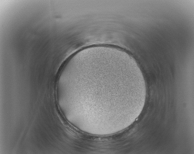 X0000066961505200604142102