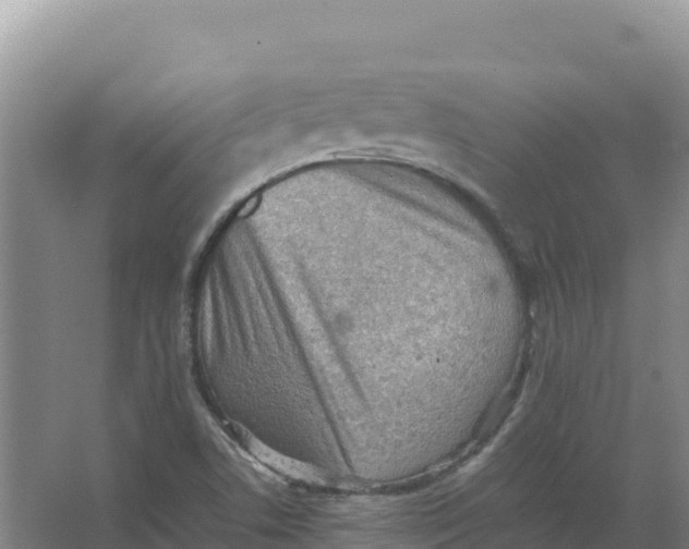 X0000066961506200604142102