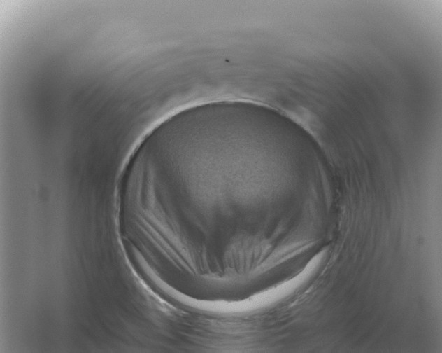 X0000066961508200604142102