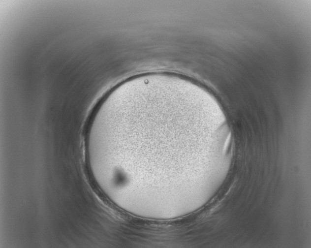 X0000066961509200604142102