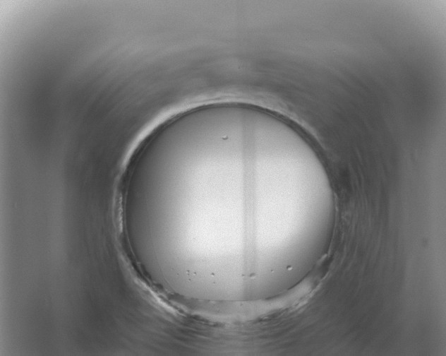 X0000066961510200604142102