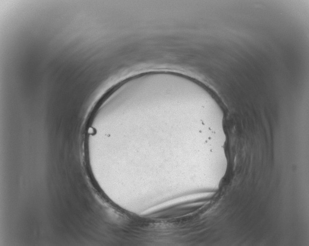 X0000066961511200604142102