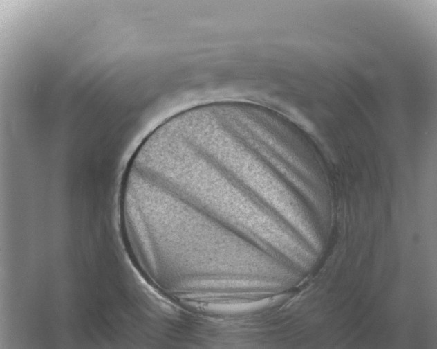 X0000066961512200604142102