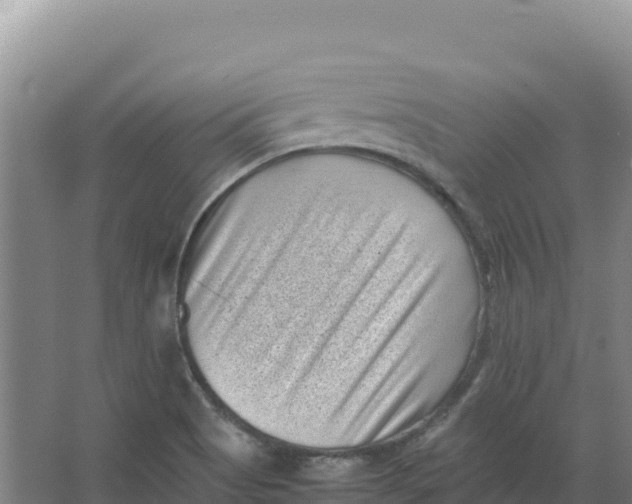 X0000066961513200604142102