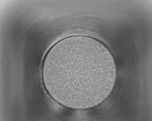 X0000066961514200604142102