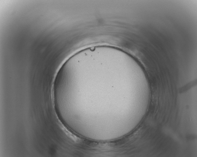 X0000066961516200604142102