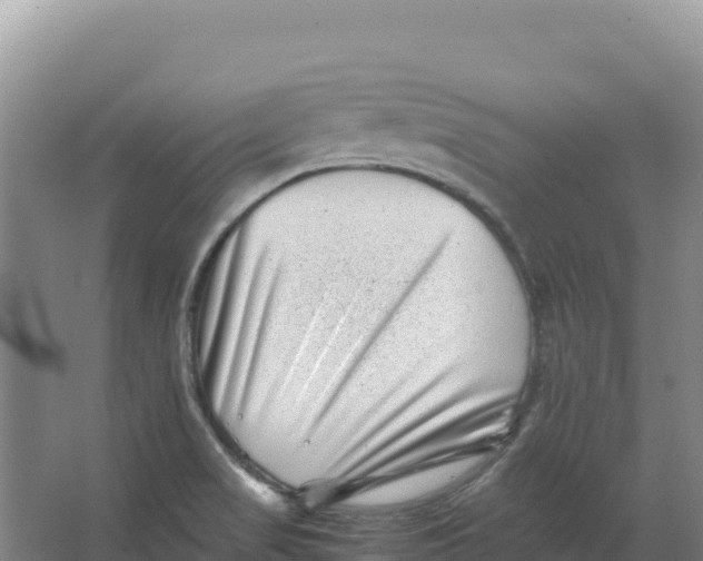 X0000066961517200604142102