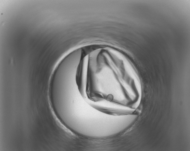 X0000066961518200604142102