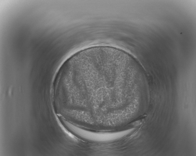 X0000066961519200604142102