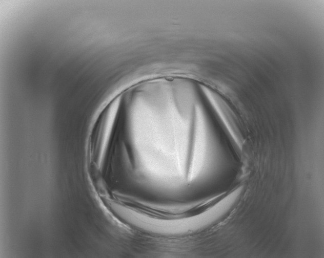 X0000066961520200604142102