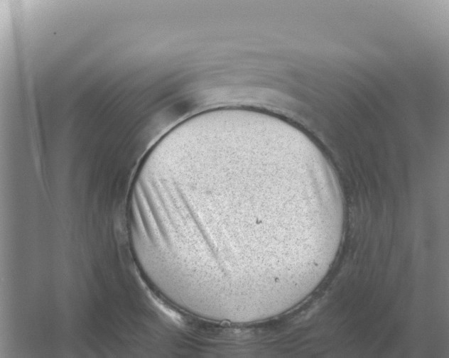 X0000066961521200604142102