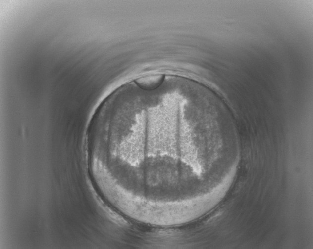 X0000066961522200604142102