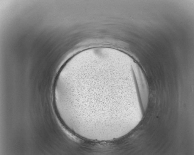 X0000066961523200604142102