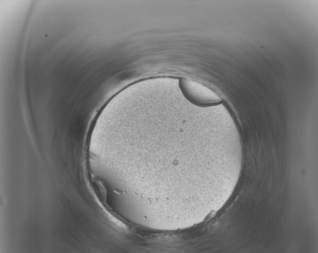 X0000066961525200604142102