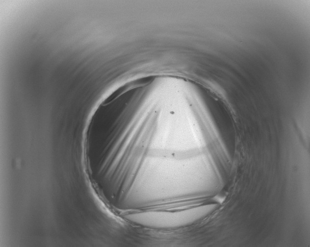 X0000066961528200604142102