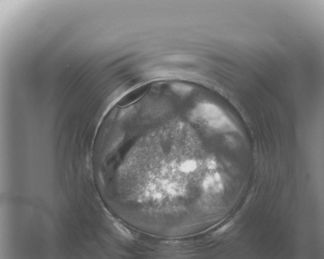 X0000066961529200604142102