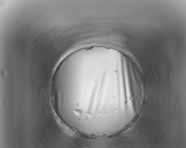 X0000066961530200604142102