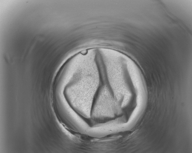 X0000066961531200604142102