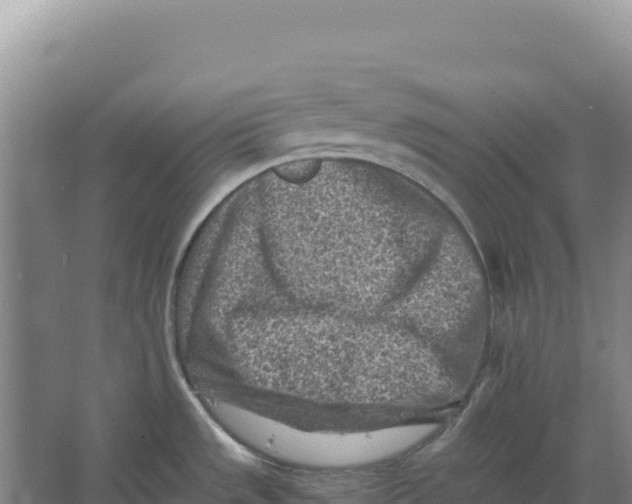 X0000066961533200604142102