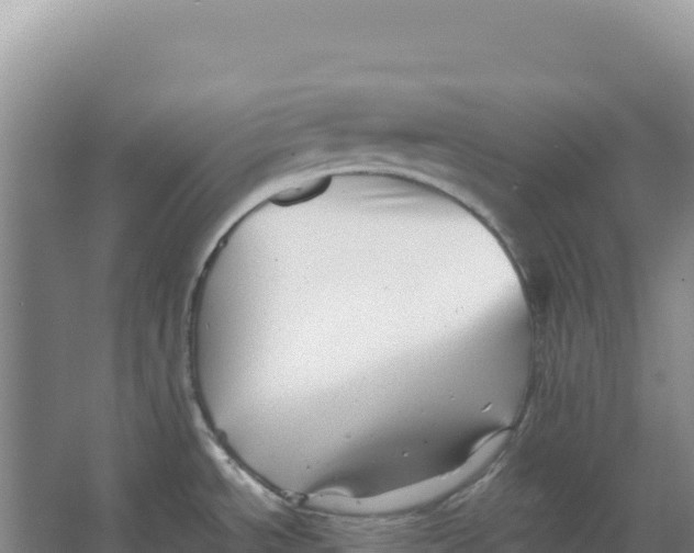 X0000066961534200604142102