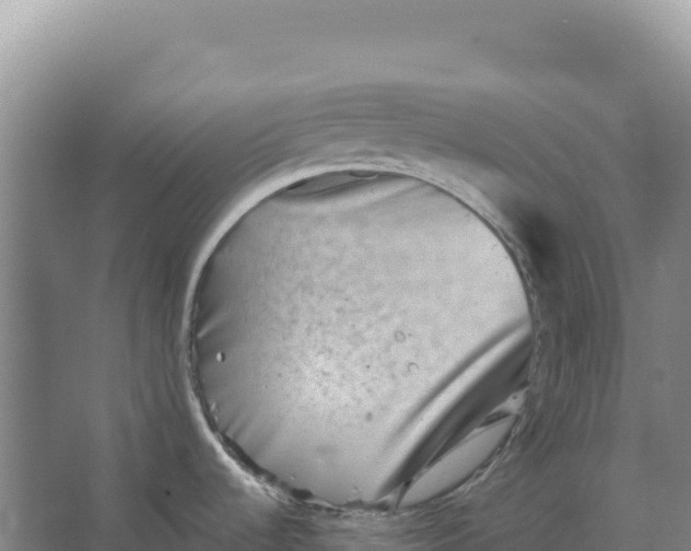 X0000066961536200604142102