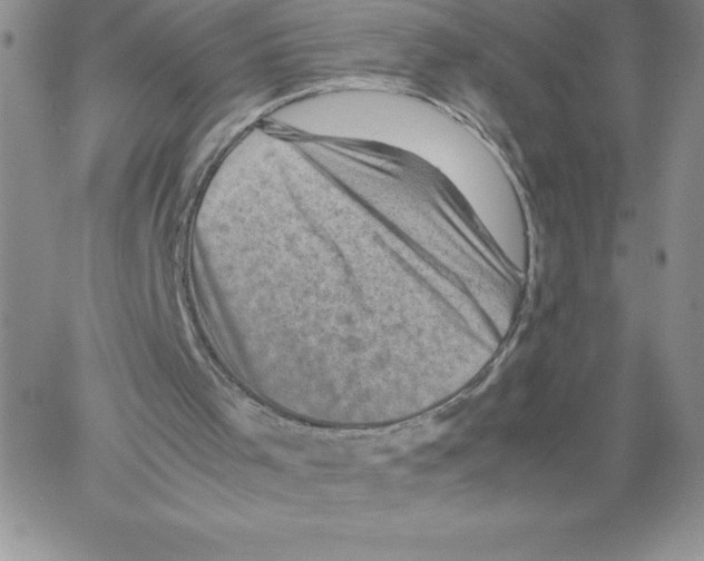 X0000066960001200604211853