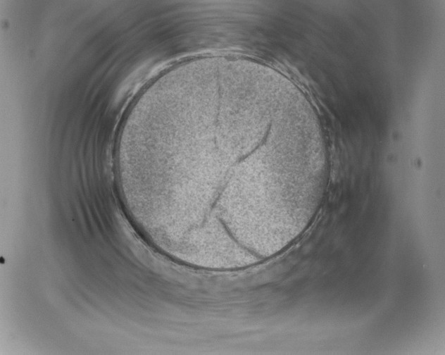 X0000066960002200604211853