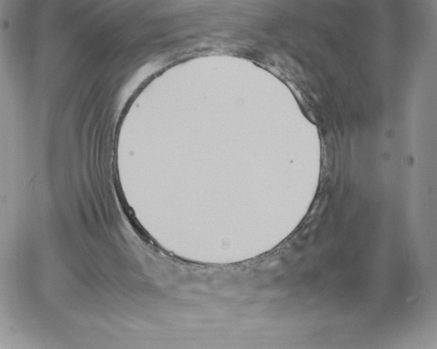 X0000066960003200604211853