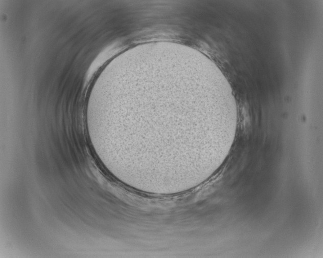 X0000066960004200604211853