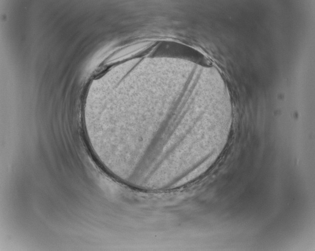 X0000066960005200604211853