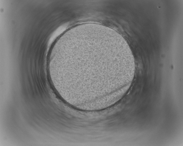 X0000066960006200604211853