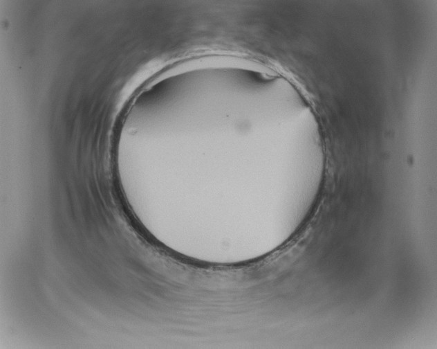 X0000066960008200604211853