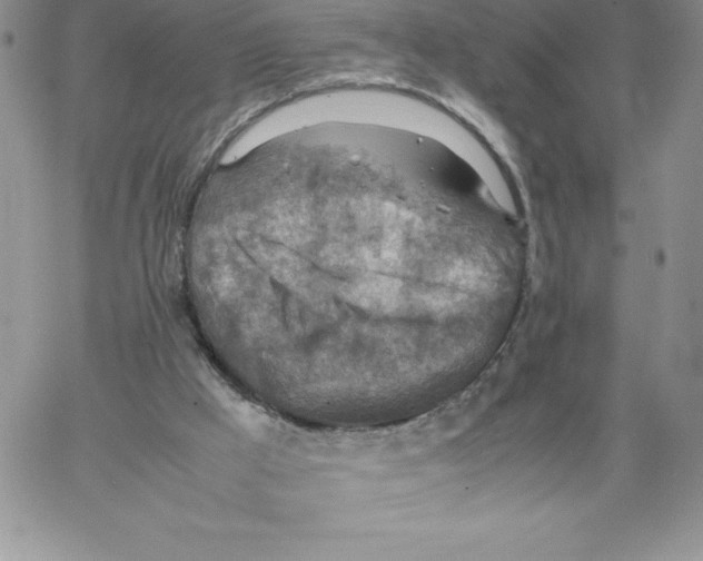 X0000066960009200604211853