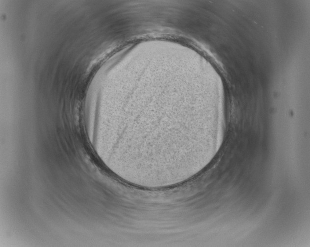 X0000066960010200604211853