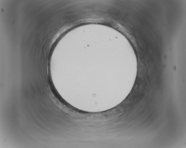 X0000066960011200604211853