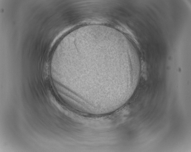 X0000066960012200604211853