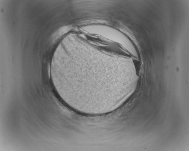 X0000066960013200604211853