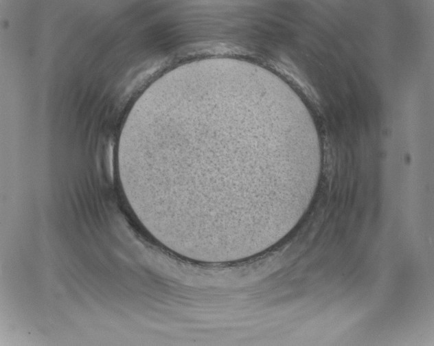 X0000066960014200604211853