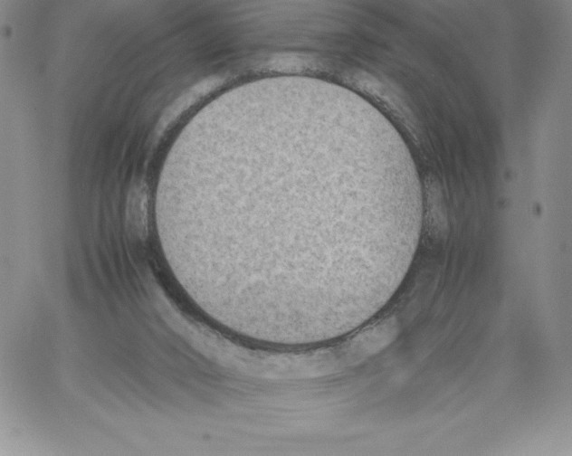 X0000066960016200604211853