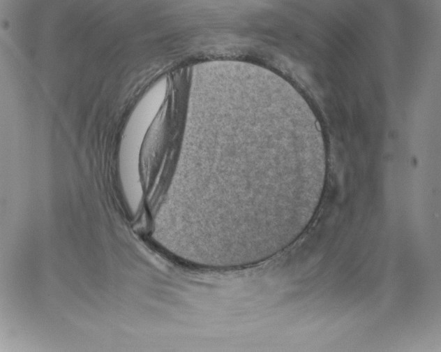 X0000066960017200604211853